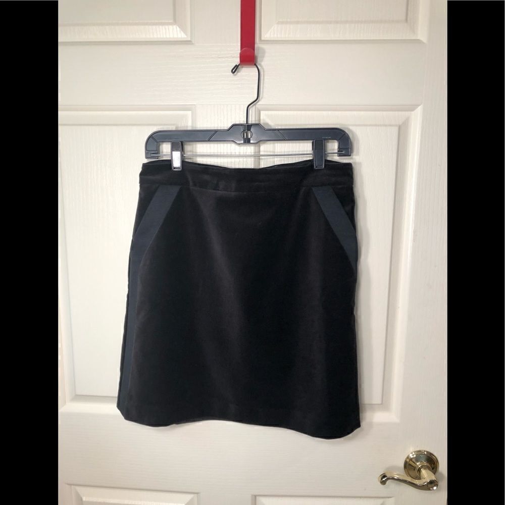 Ann Taylor skirt 